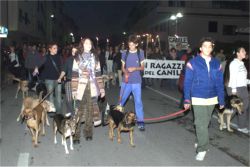 portoferraio canile manifestazione