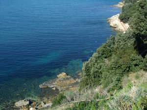 punta pina panorama