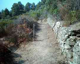 Galenzana nuova strada