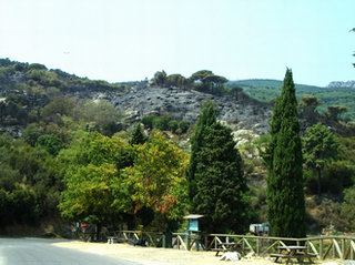 incendio strada s. piero