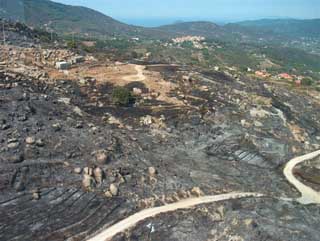 Incendio gentini Orti