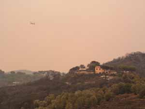 Incendio Galea 6 Mezzacosta