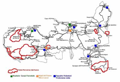 grafico incendi 5