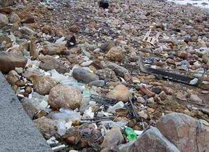 topinetti rio marina spiaggia sporca cavo