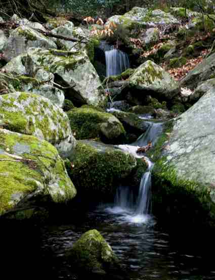 capanne fosso