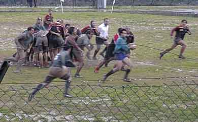 Elba rugby grandi