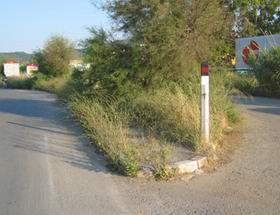 erbacce antiche saline