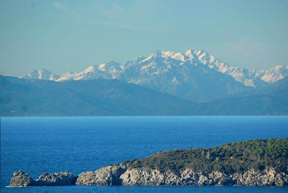 neve di corsica