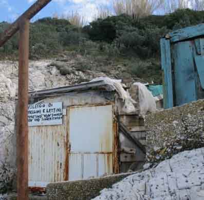 capo bianco inverno 2006 c