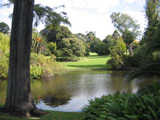 ragazzi elbani in australia 2006 11