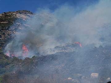 Incendio Pomonte Maggio 2006 1