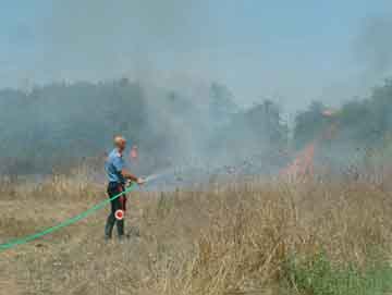 incendio Bagnaia 2006 2