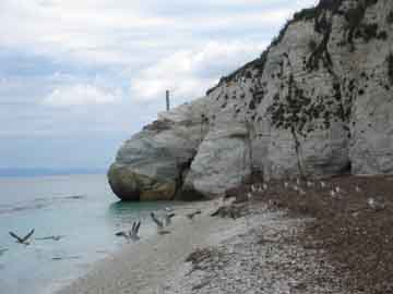 Capo Bianco Tanelli 12  decollo gabbiani