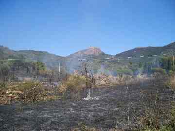 incendio salicastro 2007 5