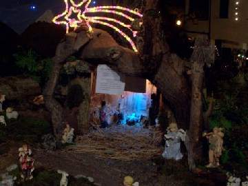 presepe tazebao intera