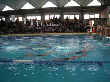 Provinciali nuoto 2008 tesei  3