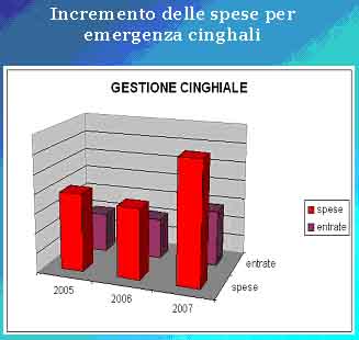 Grafico cinghiali