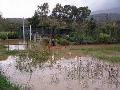 alluvione novembre 2008 campo 9