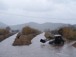 protezione Civile salvataggio cane 2008 2