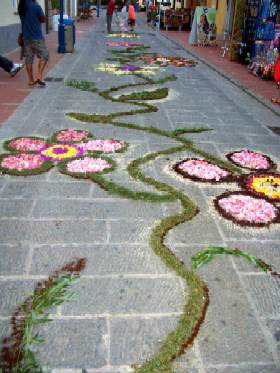 corpus domini campo processione infiorata