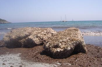 corsica macinaggio spiaggia