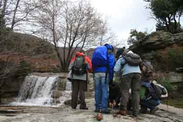 BioWACHING 9 invertebrati nelle pozze