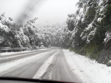 nevicata 100309  5 lamaia