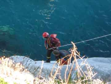 soccorso Cavoli 2010 4