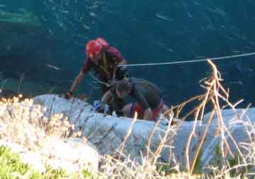 soccorso Cavoli 2010 5