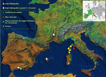 felce distribuzione