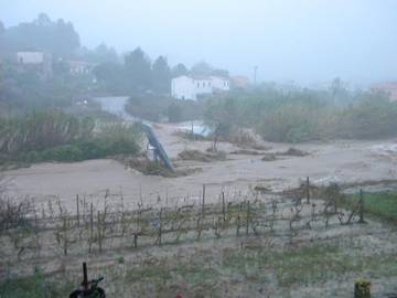 Alluvione campo 2011 vigna allagata Alessandro Galli