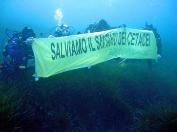 scritta subacquea greenpeace